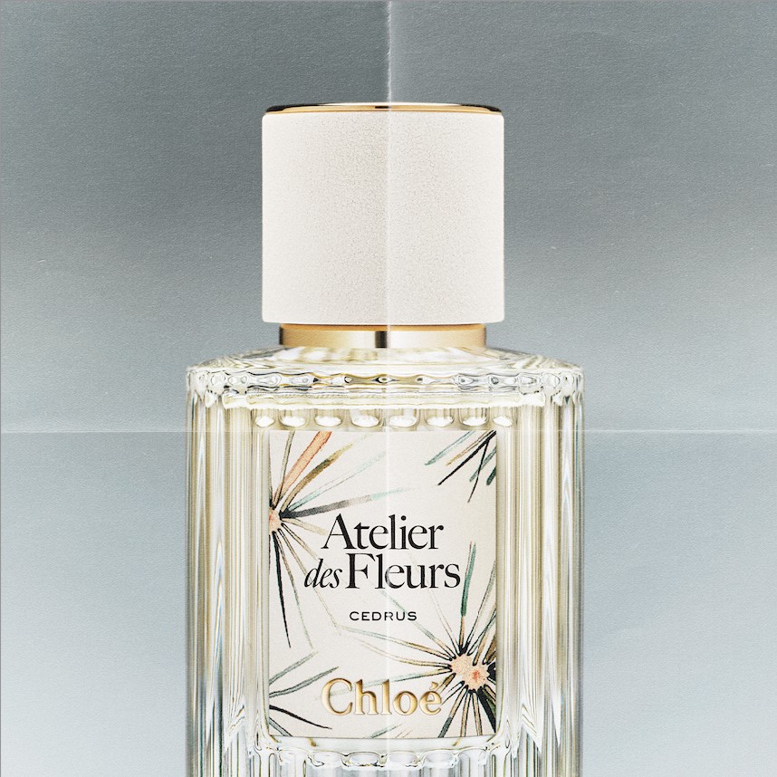 Cedrus Chloé تعيد اكتشاف خشب الأرز في تحفة فنية