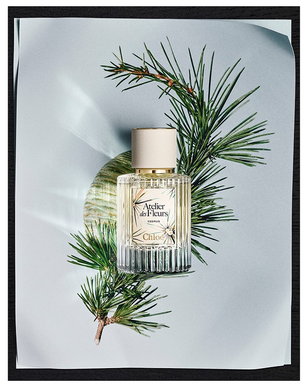 Cedrus Chloé تعيد اكتشاف خشب الأرز في تحفة فنية 