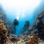 البحر الأحمر الهدوء والمغامرة يجتمعان في قلب السعودية