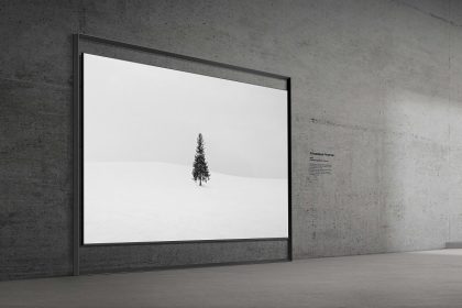 ثورة في عالم الشاشات الفاخرة.. سامسونج تبهر زوار CES 2026 بأول تلفزيون Micro RGB قياس 130 بوصة في العالم.