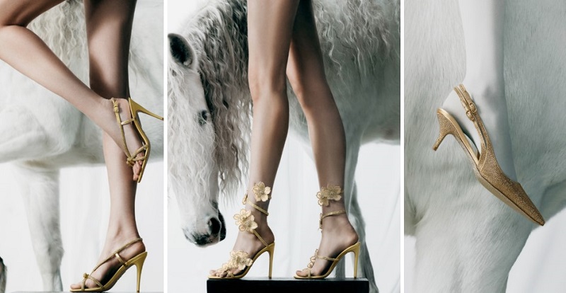 رينيه كاوفيلا تكشف عن حملة  امتطاء النور احتفالاً برأس السنة الصينية 2026 وعام الحصان