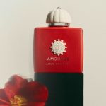 عطر لوف هيبيسكاس من أمواج رحلة حسية تجمع غموض الكركديه بذكريات الطفولة