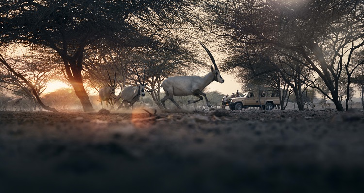 Anantara Sir Bani Yas Island Resorts