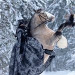 The Global Edit: Doha Fashion Show